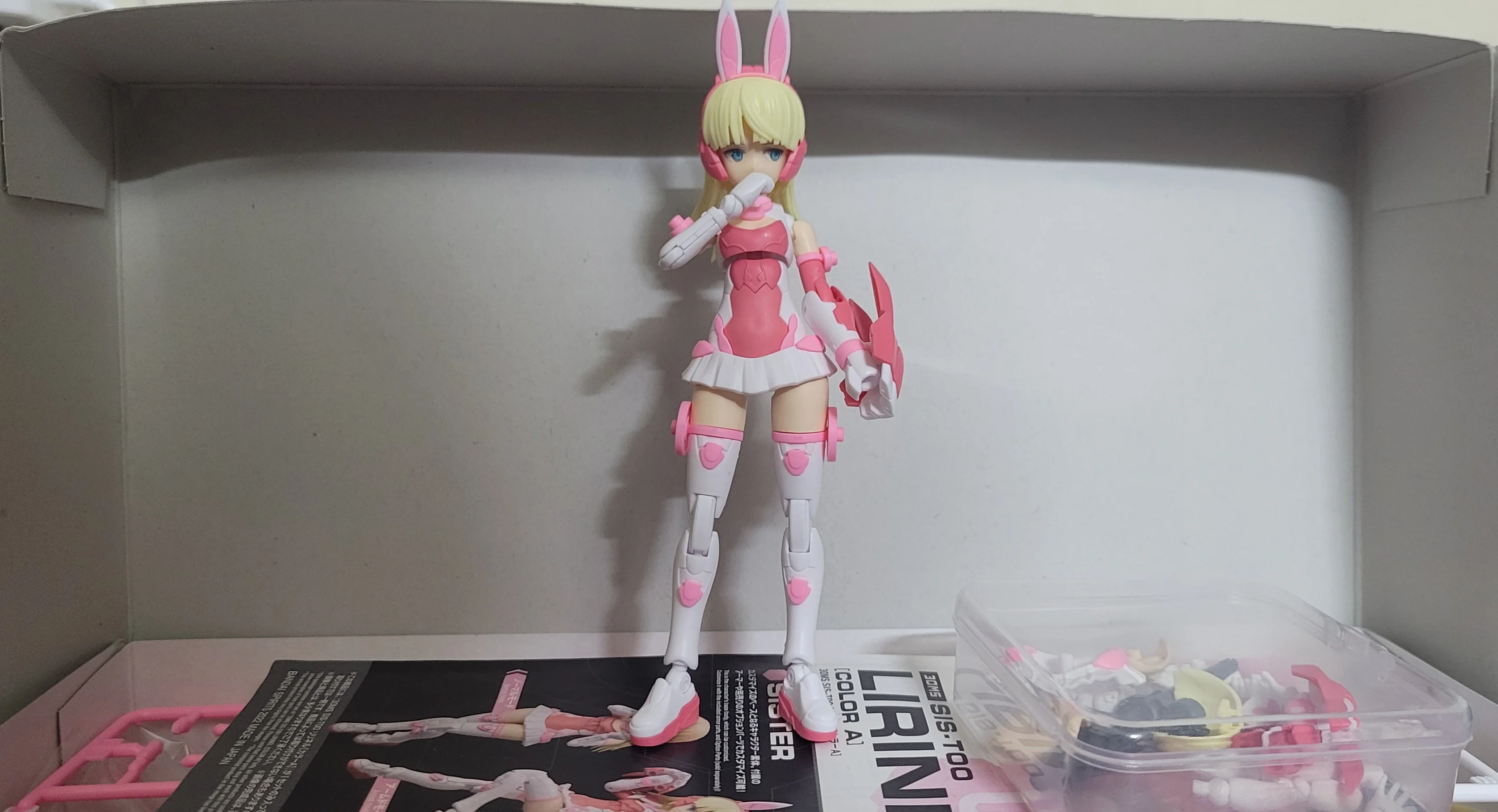 Nguyễn Nhật Anh - entry