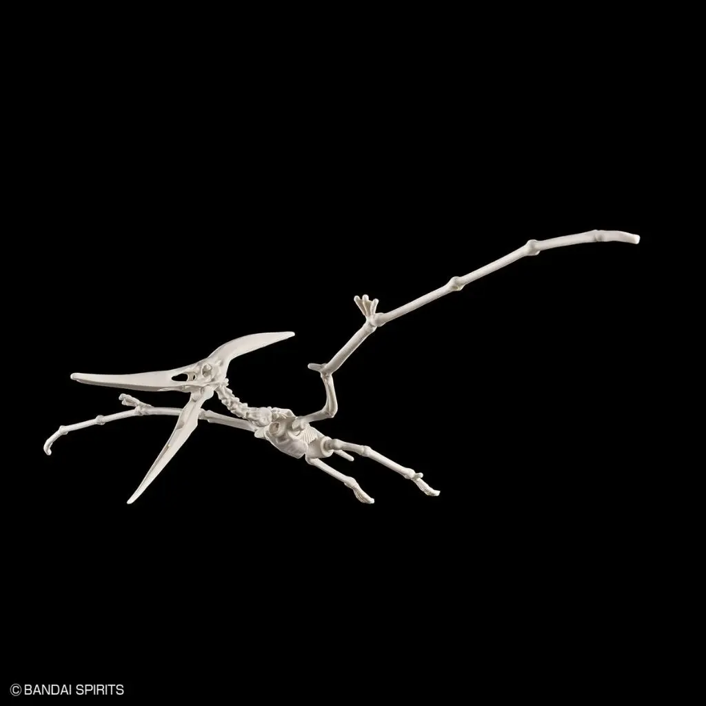 Mô hình lắp ráp PLANNOSAURUS PTERANODON