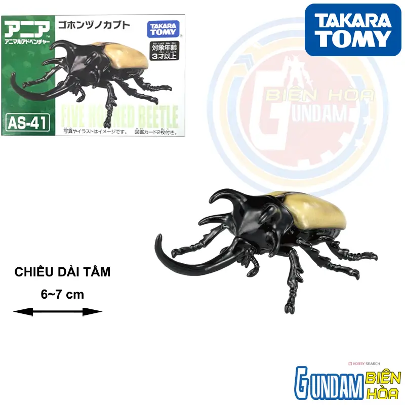 Mô hình Bọ Cánh Cứng Ania AS-41 Five Horns Beetle