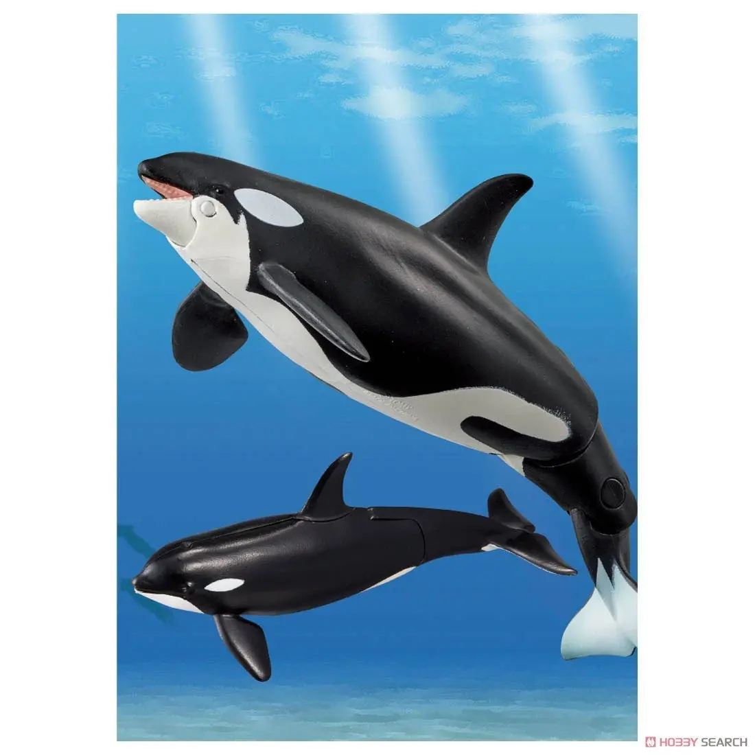 Mô hình ANIA AL-08 Killer Whale (Floatable Ver,)