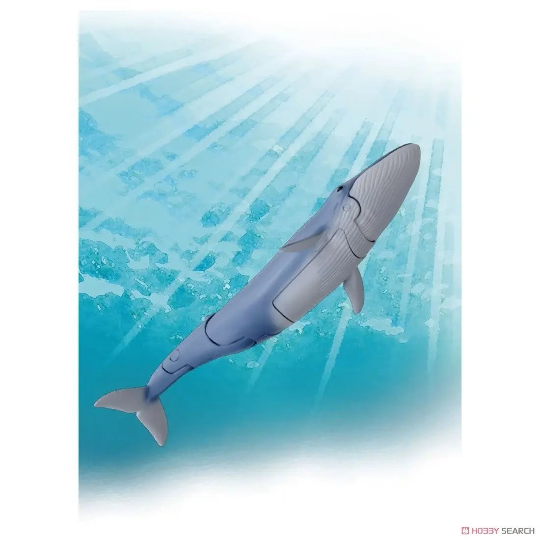 Mô hình ANIA AL-23 Blue whale (Floating ver)