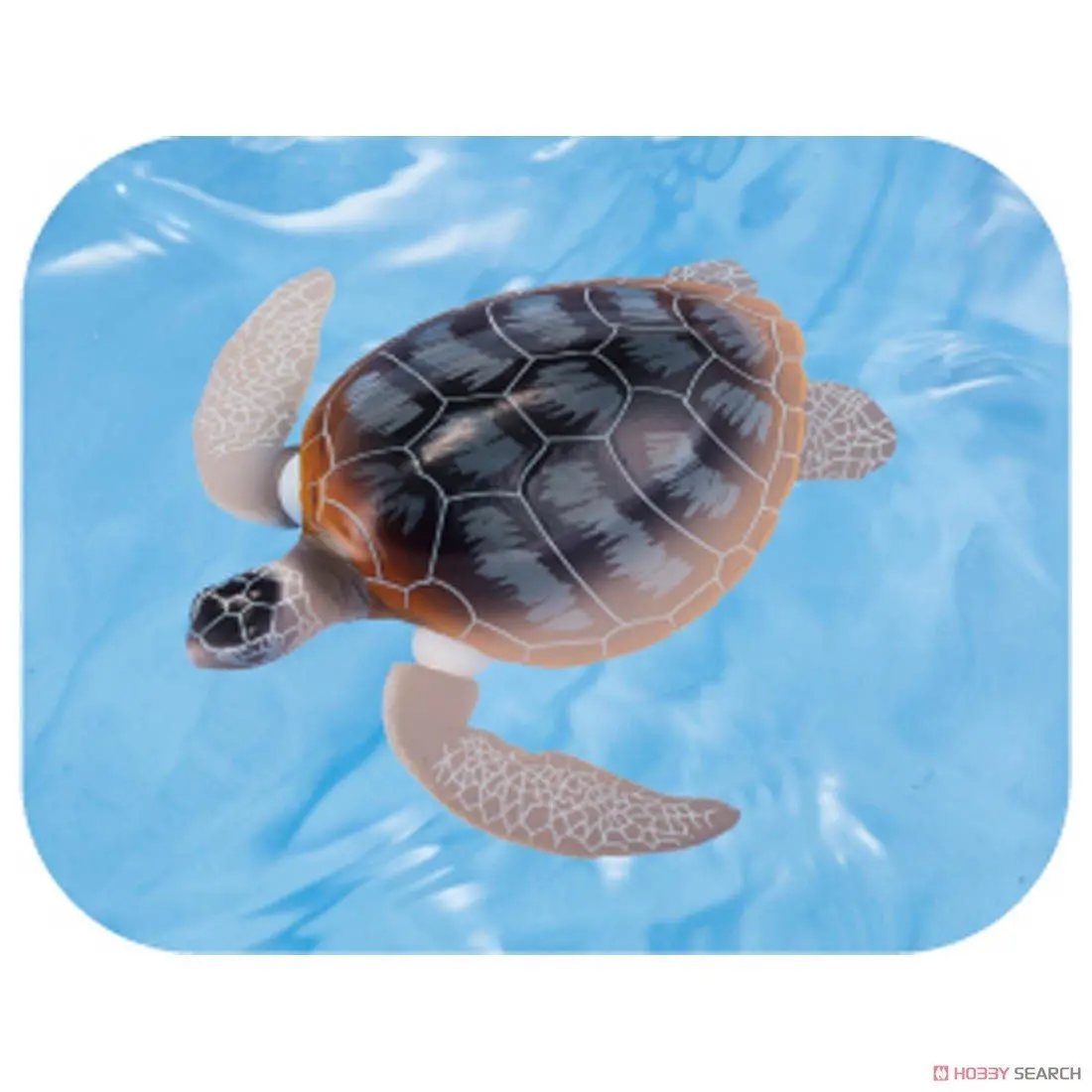 Mô hình Ania AS-20 Green Sea Turtle (Floatable Ver,)