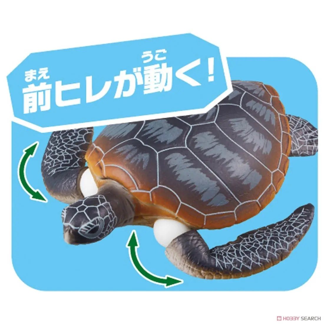 Mô hình Ania AS-20 Green Sea Turtle (Floatable Ver,)