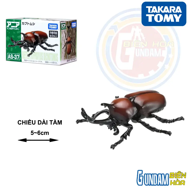 Mô hình Ania AS-37 Beetle