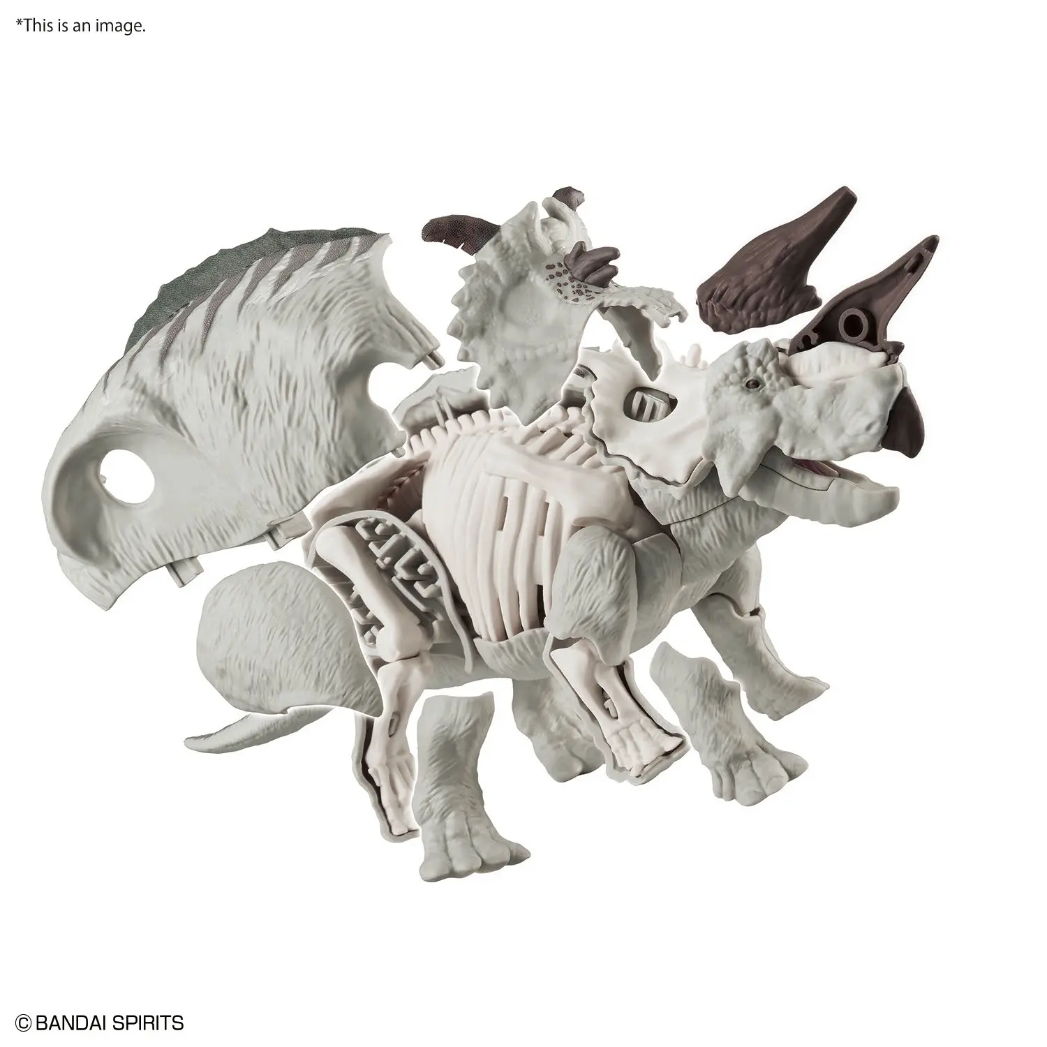 Mô hình lắp ráp PLANNOSAURUS Pachyrhinosaurus